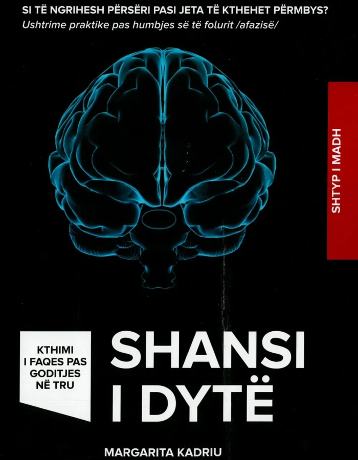 Shansi i Dytë