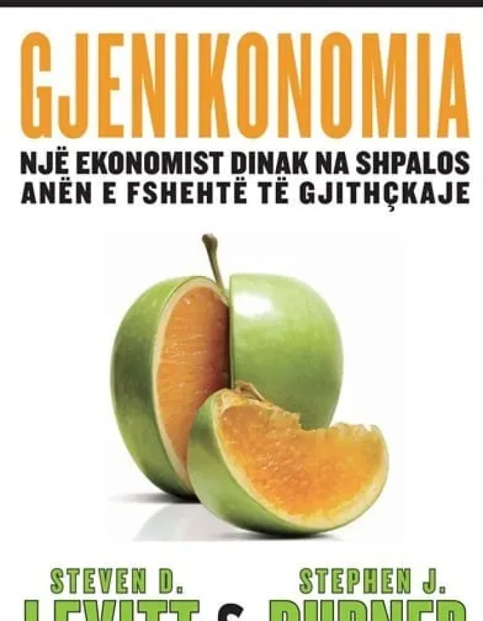 Gjenikonomia